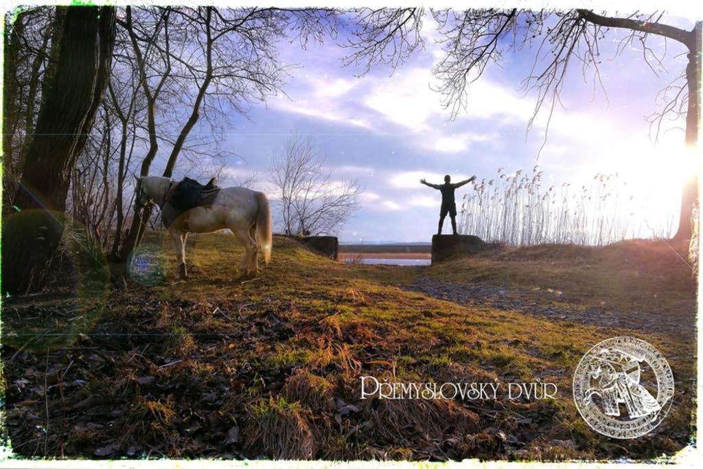 Premyslovsky Dvur Διαμέρισμα Slezske Pavlovice Εξωτερικό φωτογραφία